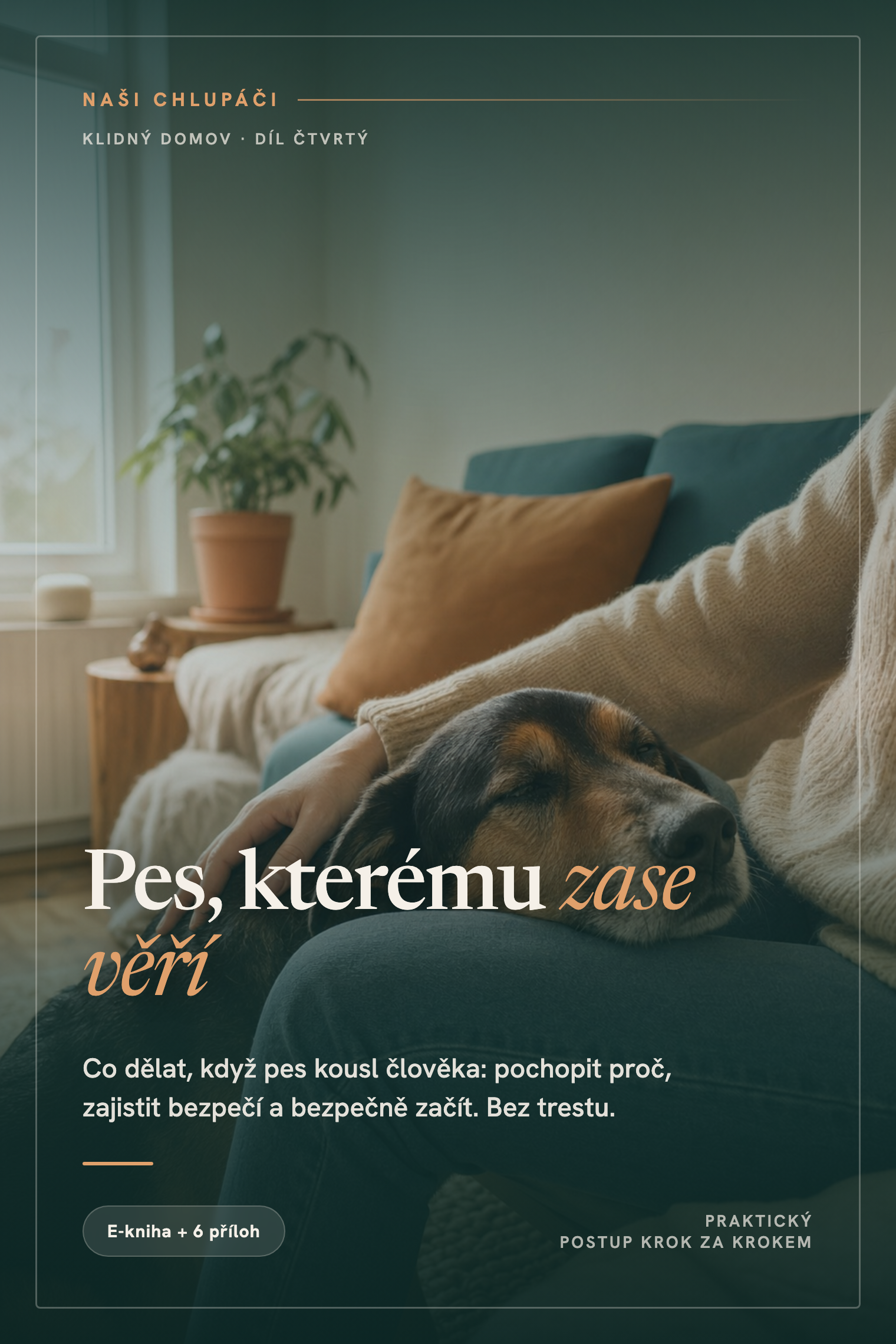Obálka knihy Pes, kterému zase věří