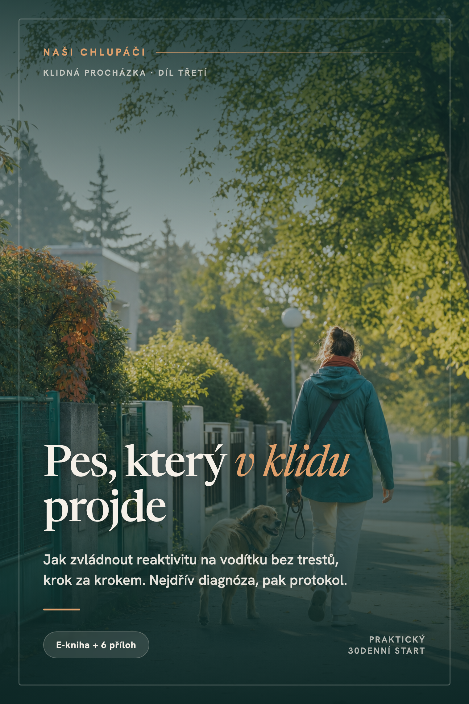 Obálka knihy Pes, který v klidu projde