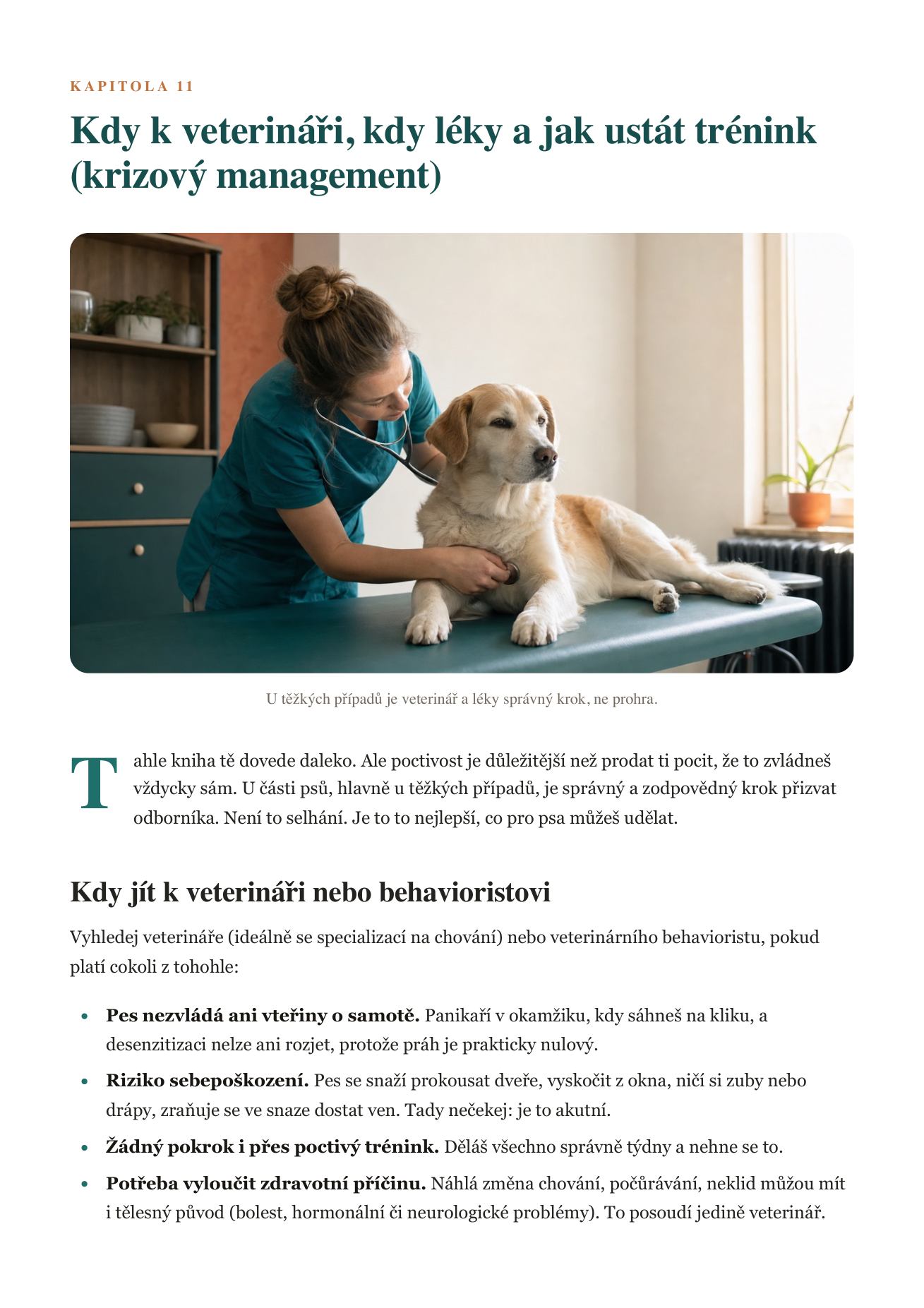 Ukázka strany: Kdy k veterináři